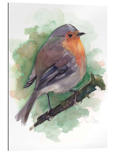 Gallery print Robin