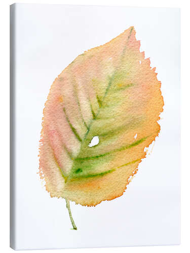 Canvas print Autumn leaf