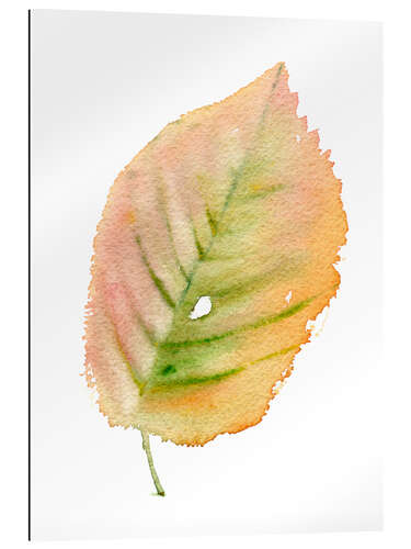 Quadro em plexi-alumínio Autumn leaf