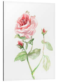 Quadro em alumínio Pink rose