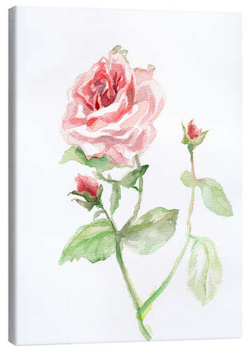 Canvas print Pink rose