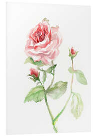 Foam board print Pink rose