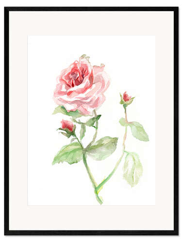 Stampa artistica con cornice Pink rose
