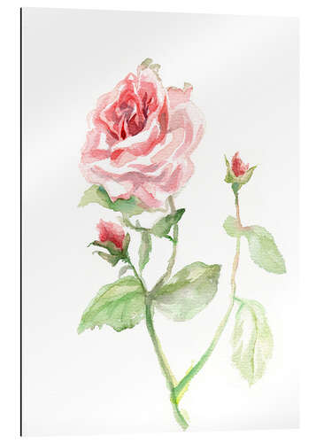 Galleriprint Pink rose