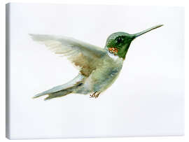 Stampa su tela  Hummingbird - Verbrugge Watercolor