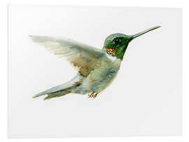 Foam board print Hummingbird