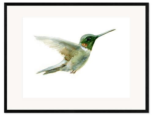 Gerahmter Kunstdruck Kolibri