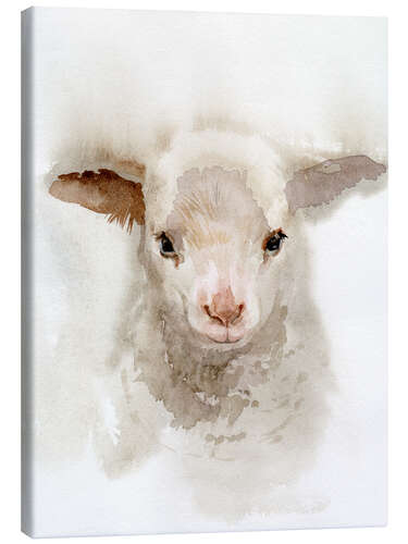 Canvas print Lamb