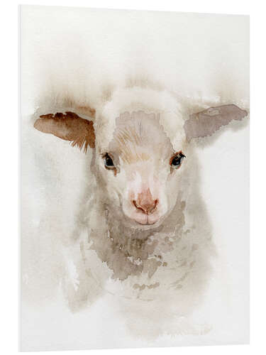 PVC-taulu Lamb