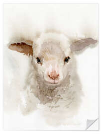 Självhäftande poster Lamb