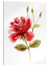 Tableau en plexi-alu Rose rouge