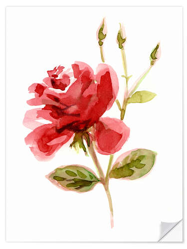 Wall sticker Red Rose