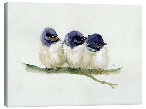 Canvas print 3 little swallows