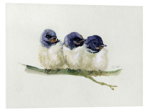 Foam board print 3 little swallows