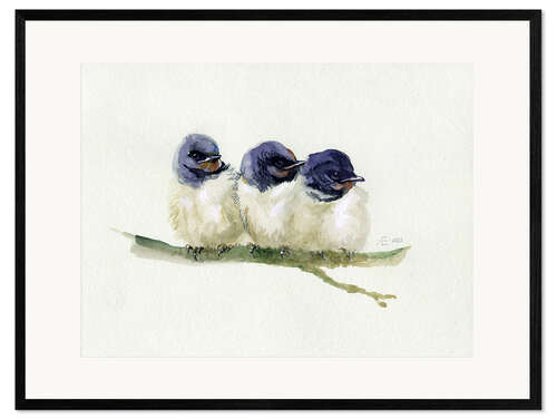 Ingelijste kunstdruk 3 little swallows