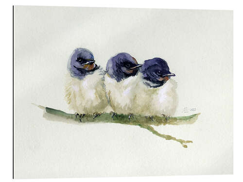 Galleriprint 3 little swallows