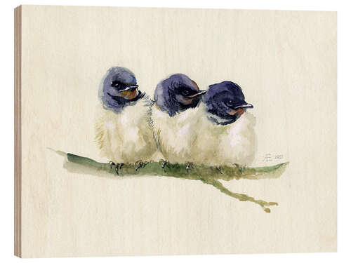 Wood print 3 little swallows