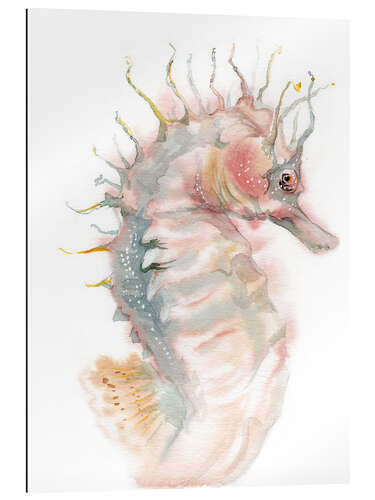 Gallery print Seahorse