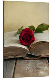 Aluminiumtavla Red rose and old open book