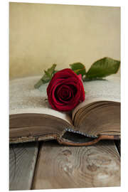 Foam board print Red rose and old open book