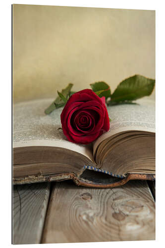 Galleritryck Red rose and old open book