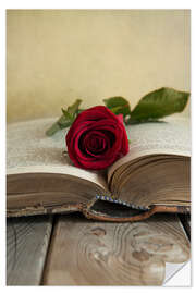 Selvklebende plakat Red rose and old open book