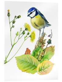 Acrylglas print Blue Tit Bird and Sowthistle