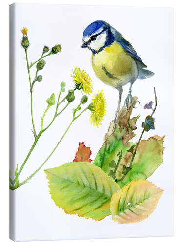 Stampa su tela Blue Tit Bird and Sowthistle