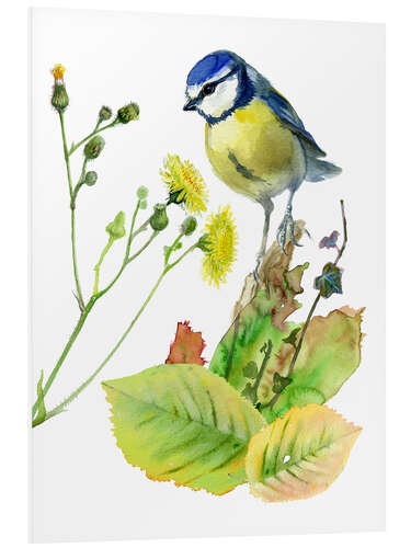 Foam board print Blue Tit Bird and Sowthistle