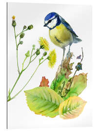 Gallery print Blue Tit Bird and Sowthistle