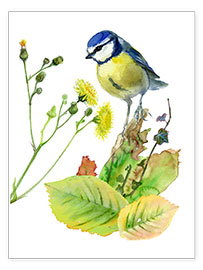 Wall print Blue Tit Bird and Sowthistle - Verbrugge Watercolor