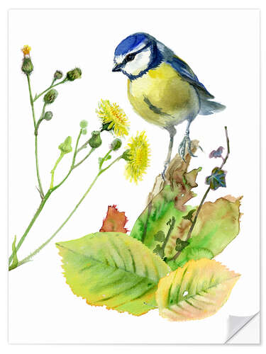 Wall sticker Blue Tit Bird and Sowthistle