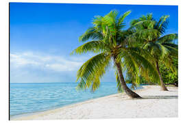 Magnettafel Weißer Palmenstrand am Meer