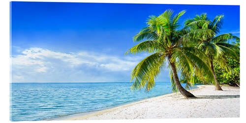 Acrylic print Holiday at the beach with palm trees and sea