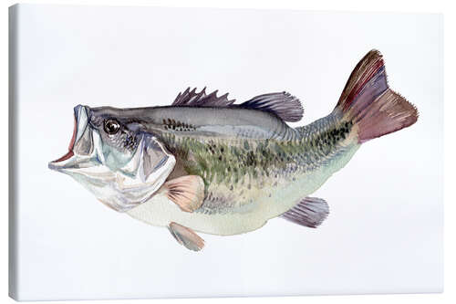 Canvas print Bass fish painting