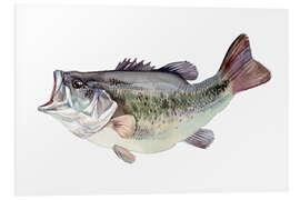 Foam board print Bass fish painting