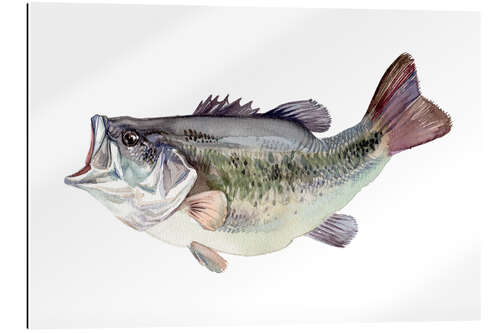 Gallery print Bass fish painting