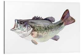 Magnettafel Fischstudie