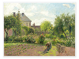 Wall print  The Artist&#039;s Garden at Eragny - Camille Pissarro