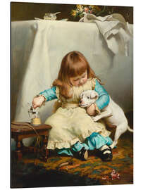 Magnettafel Nicht so schüchtern