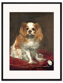 Gerahmter Kunstdruck King Charles Spaniel