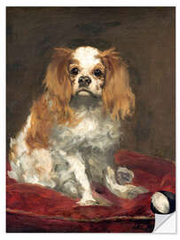 Naklejka na ścianę A King Charles Spaniel