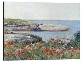 Aluminium print Poppies, Isles of Shoals