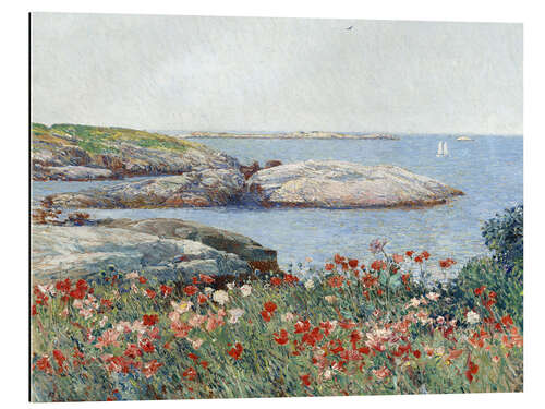 Gallery print Poppies, Isles of Shoals