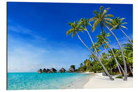 Magnettafel Palmenstrand und Meer auf einer einsamen Insel in den Tropen