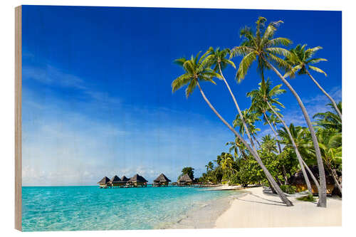 Wood print Palm beach and ocean on a deserted island in the tropics