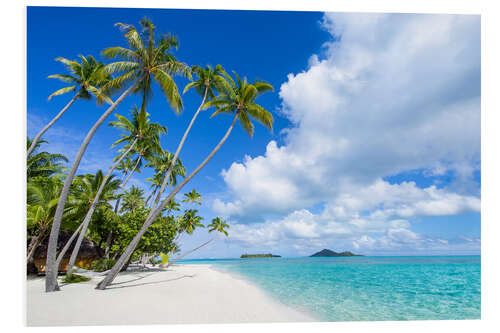 Bilde på skumplate Palms on the beach with turquoise water