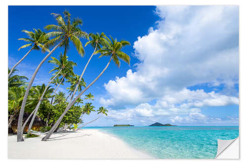 Naklejka na ścianę Palms on the beach with turquoise water