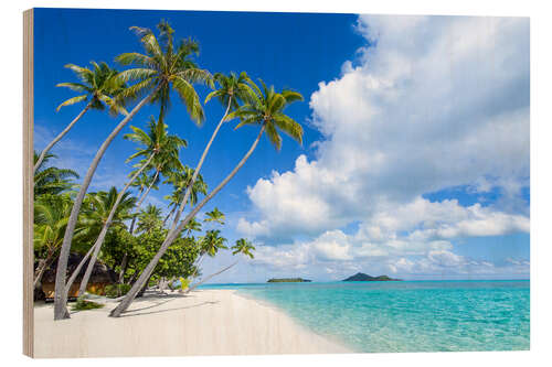 Wood print Palms on the beach with turquoise water