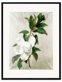 Plakat artystyczny premium w ramie magnolia